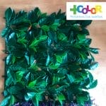 Jardín Artificial - Imagen 5